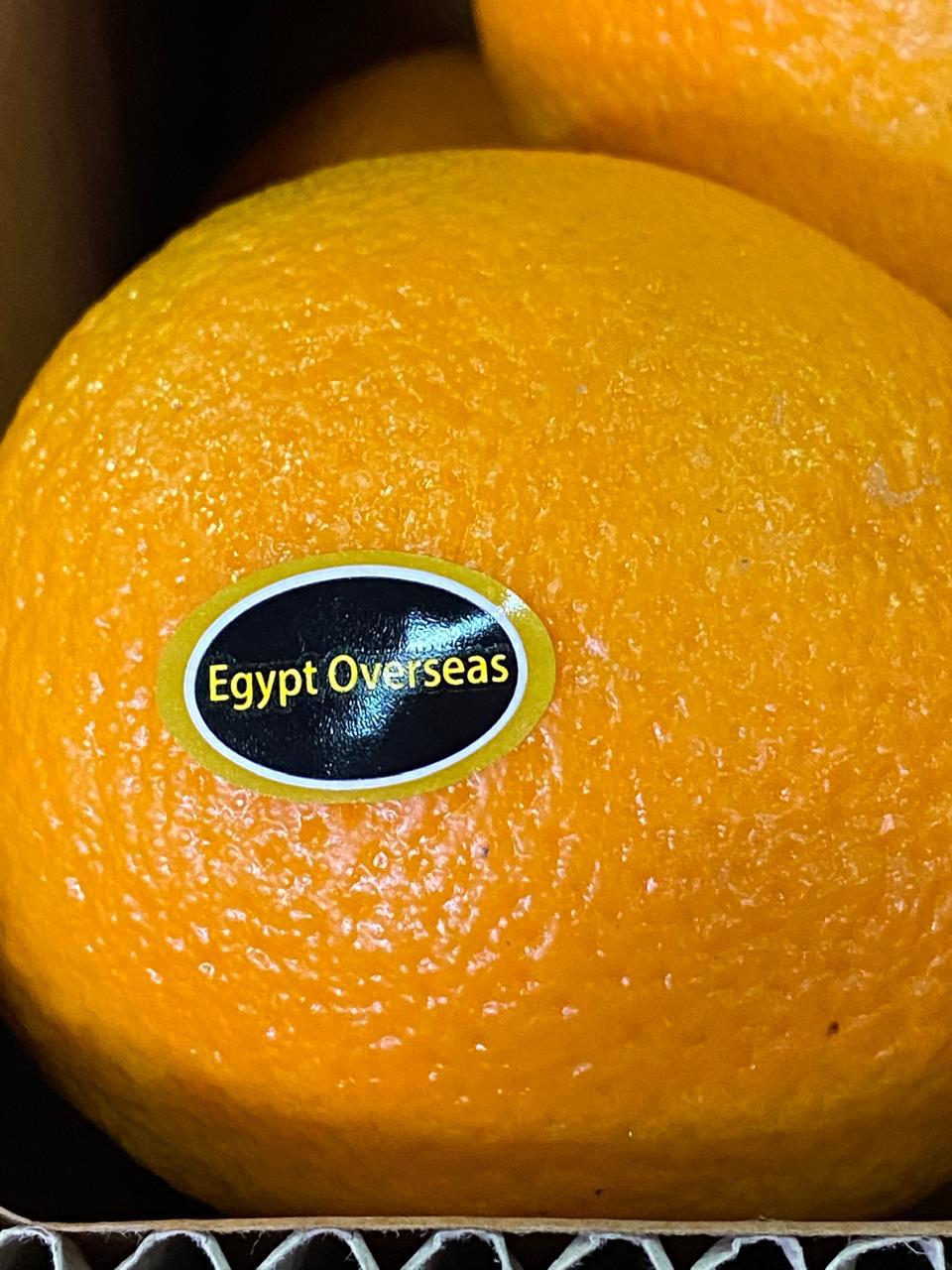 Egypt Overseas | Fresh Vegetables & Fruits Exporter