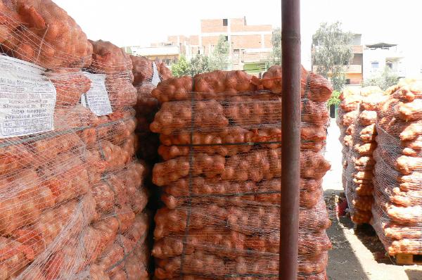 Egypt Overseas | Fresh Vegetables & Fruits Exporter